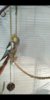 Screenshot_20200120-110040.jpg