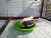 IMG_20200120_100457.jpg