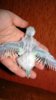 DSC01209.JPG