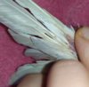 IMG_20200123_101218.jpg