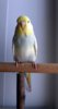 DSCF8477.JPG