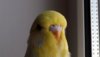 DSCF8482.JPG