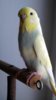 DSCF8494.JPG