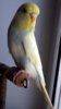 DSCF8495.JPG