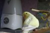 DSCF8525.JPG