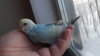DSCF8613.JPG