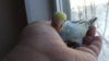 DSCF8612.JPG