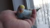 DSCF8610.JPG