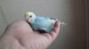 DSCF8609.JPG