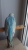 DSCF8592.JPG