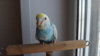DSCF8588.JPG