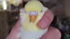 DSCF8722.JPG