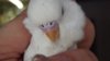 DSCF8954.JPG