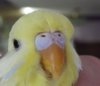 DSCF8966.JPG