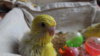 DSCF9057.JPG