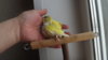 DSCF9065.JPG
