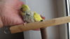 DSCF9067.JPG