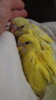 DSCF9083.JPG