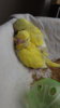 DSCF9092.JPG