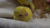 DSCF9096.JPG