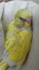 DSCF9131.JPG