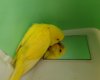 DSCF0004.JPG