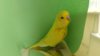 DSCF0012.JPG