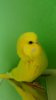 DSCF0018.JPG