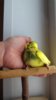DSCF0072.JPG