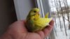 DSCF0076.JPG