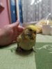 IMG_20200306_214618.jpg