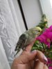 IMG_20200313_115641.jpg