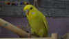 DSCF0412.JPG