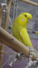 DSCF0409.JPG