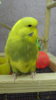 DSCF0407.JPG