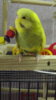 DSCF0396.JPG