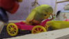 DSCF0384.JPG