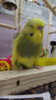 DSCF0378.JPG