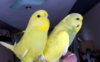 DSCF0319.JPG
