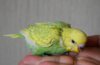 DSC_9431.JPG