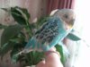 100_2354.JPG