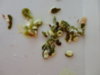 DSC02637.JPG