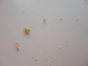 DSC02638.JPG