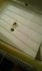 20160214_001129.jpg