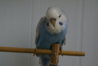 DSC01829.JPG