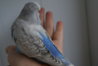 DSC01833.JPG