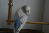 DSC01835.JPG