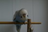 DSC01836.JPG