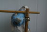 DSC01838.JPG