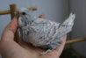 DSC01839.JPG